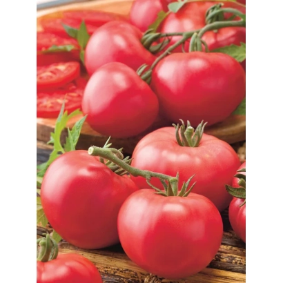 Свіжі червоні помідори на дерев'яній поверхні - МАЛИНОВИЙ СОРБЕТ