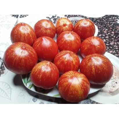 Красные помидоры сорта Мария на тарелке