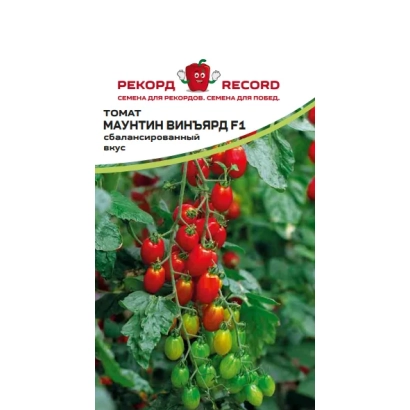 Томат МАУНТИН ВИНЪЯРД F1 на кусте
