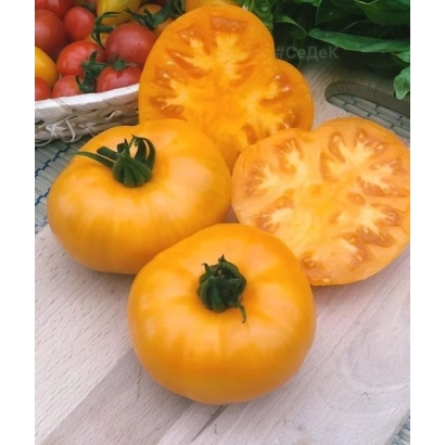 Желтые томаты на деревянной поверхности - МЕДОВИК