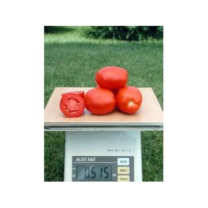 Tomatoes on a scale on a wooden board - Missouri Original