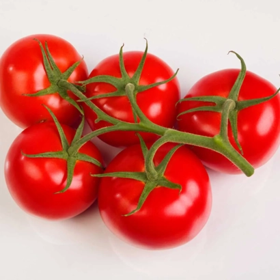 Свежие красные томаты на ветке - МИТСТЕЙК