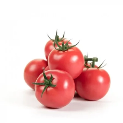 Красные томаты на белом фоне - Могами