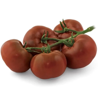 Спелые красные помидоры сорта МУЛАТ Б на ветке