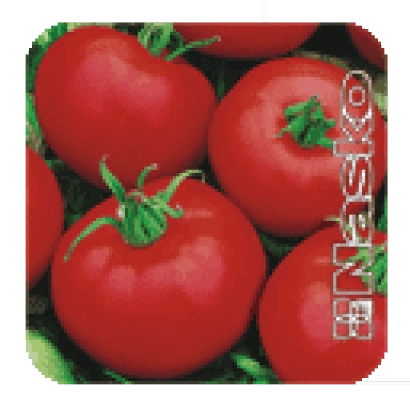 Пакет семян томата МУЗА F1 с изображением красных плодов