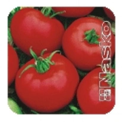 Красные томаты сорта NESKO на зелёном фоне - Муза F1