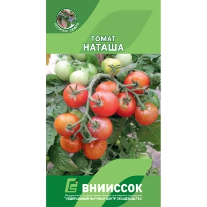 Пакет семян томата Наташа
