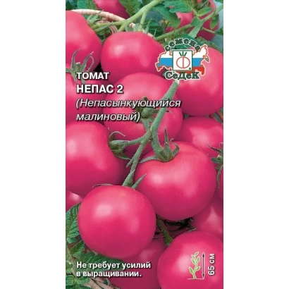 Семена томата НЕПАС 2 на фоне красных плодов