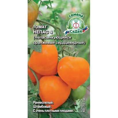 Seed packet of tomato NEPAS 4 with image of orange fruits