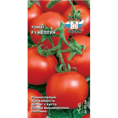 Seed packet of tomato F1 Neptun with image of red fruits