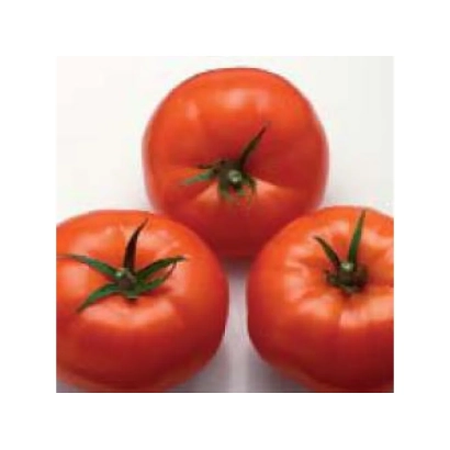 Три красных помидора сорта Нергал F1 на белом фоне