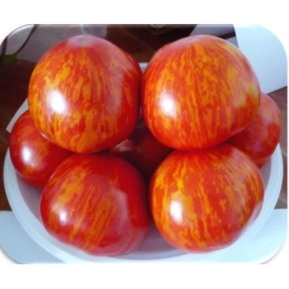 Красные помидоры сорта Обольститель на белой тарелке