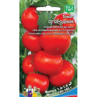 Пакет семян томата Огородник с изображением красных плодов