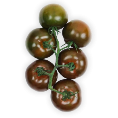 Дозрілі та недозрілі помідори сорту ОЛМЕКА на гілці