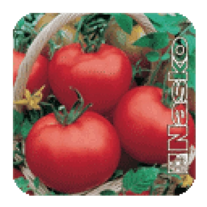 Пакет семян томата ОРФЕЙ F1 с изображением красных плодов