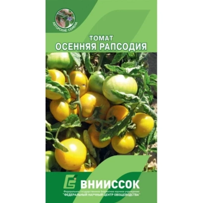 Пакет семян томата Осенняя Рapsодия с изображением плодов - ОСЕННЯЯ РАПСОДИЯ