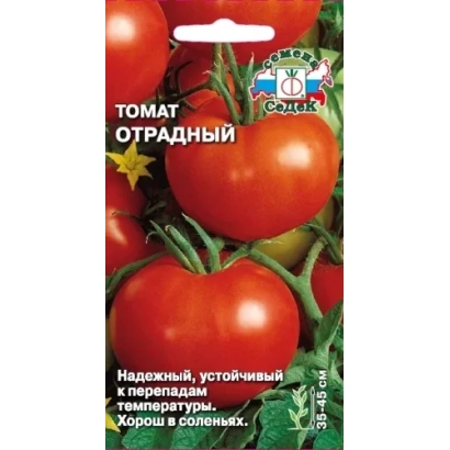 Пакет семян томата сорта Отрядный с изображением спелых красных помидоров на ветвях. - Отрадный