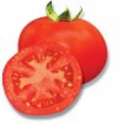Красный томат с нарезанным сечением на белом фоне - Пьетро F1