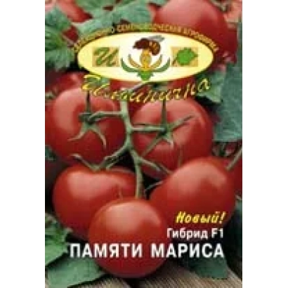 Красные томаты сорта Памяти Мариса на ветке