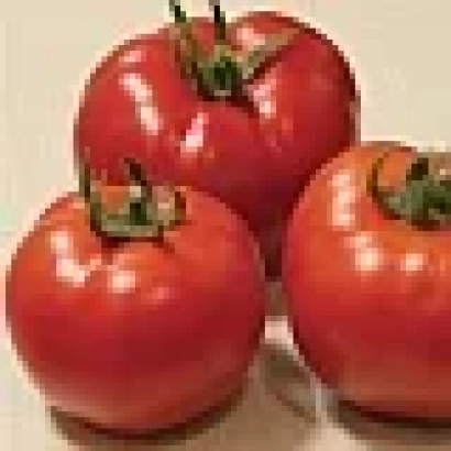 Томаты сорта Партнер Семко F1