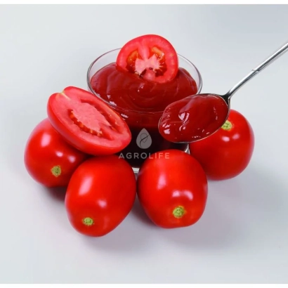 Красные томаты и томатная паста в стеклянной чашке на белом фоне - Перфект МС3 F1