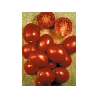 Красные помидоры сорта Пето 86 Оригинал на фоне