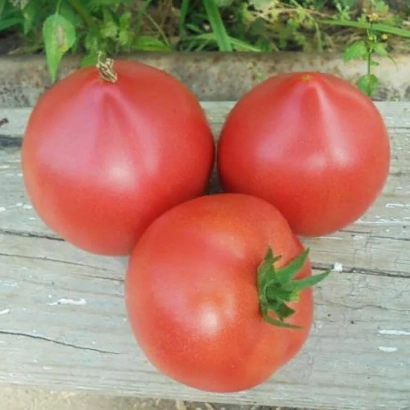 Три красных помидора на деревянной поверхности - ПИНК ФОРВАРД