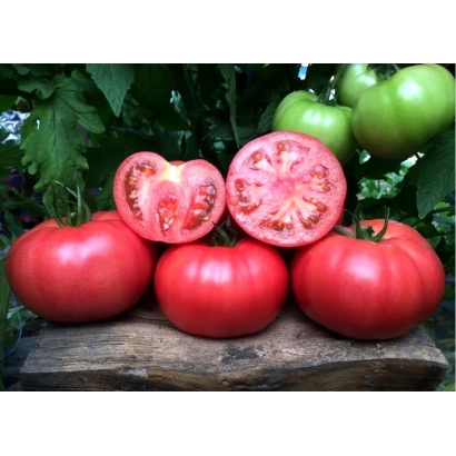 Красные томаты с разрезанным плодом на деревянной доске на фоне зелени - ПИНК МАРГАРИ