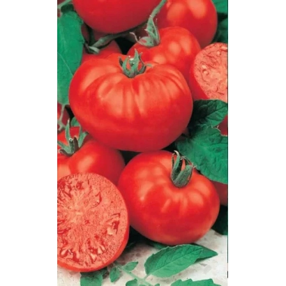 Крупные красные томаты с зелеными листьями на фоне - ПЛАМЯ АГРО