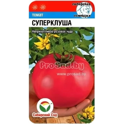 Seed packet of tomato variety Superplusha with image of red tomato - PLUSHCHIHA