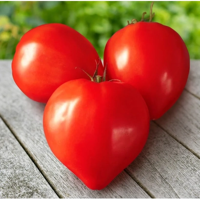 Три красных помидора на деревянной поверхности - ПРИМО РЕД