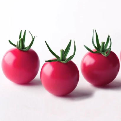 Три красных помидора сорта РИАННА на белом фоне