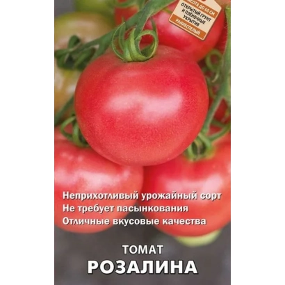 Томат Розалина на ветке с плодами