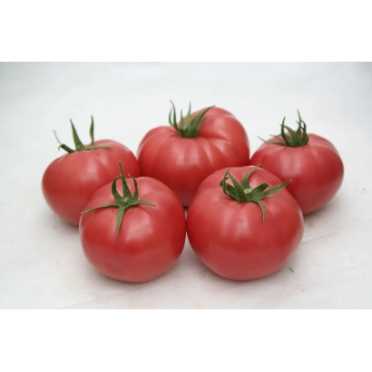 Красные томаты сорта РОЗАРИО на белом фоне