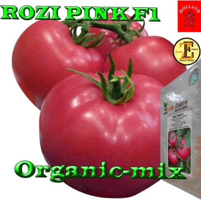 Крупные красные томаты Розі Пінк F1 на фоне - Рози Пинк