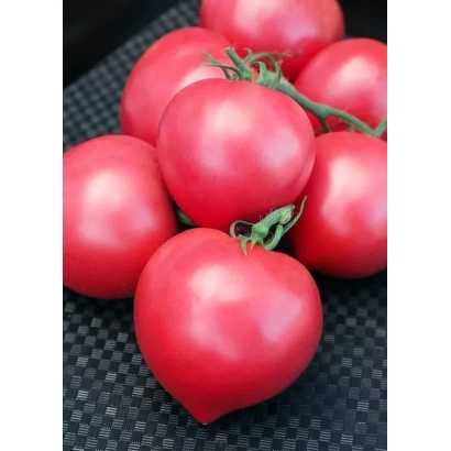 Свежие красные томаты сорта Розовые Вершины на темном фоне