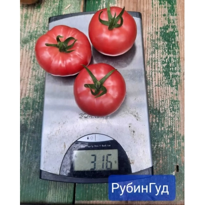 Три красных помидора сорта РубинГуд на весах
