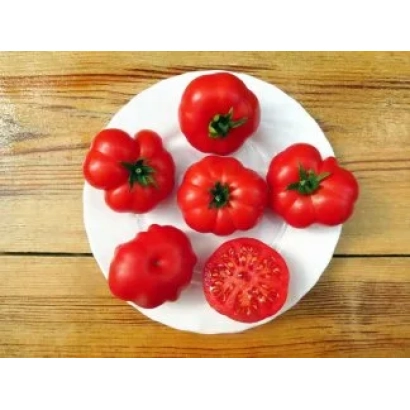 Red tomatoes on a white plate on a wooden table - RUSTICO