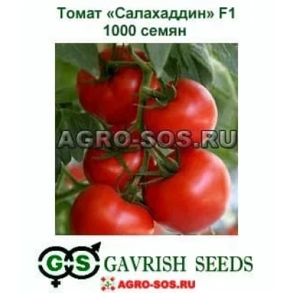Seed packet of tomato 'Salahaddin' F1