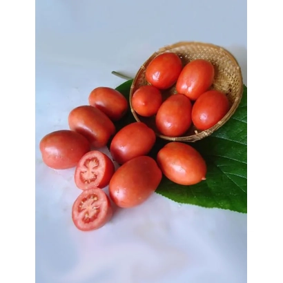 Красные томаты сорта Шатл в плетёной корзине на зелёном листе