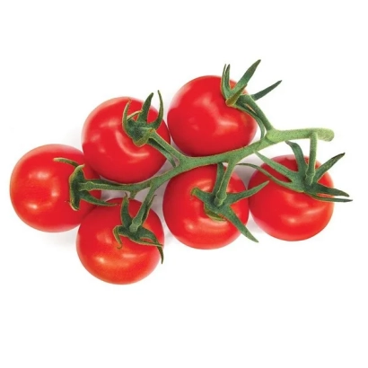 Red cherry tomatoes on a vine, without packaging or label. - SAVORINO