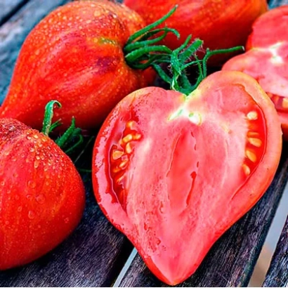 Fresh heart-shaped tomatoes on a wooden surface - HEARTY