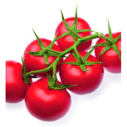 Красные томаты на ветке, без названия продукта - Севанс