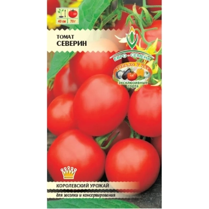 Пакет семян томата Северин с изображением красных плодов