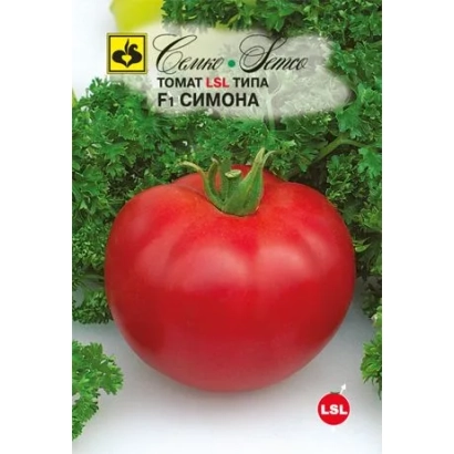 Красный томат сорта Симона на фоне зелени