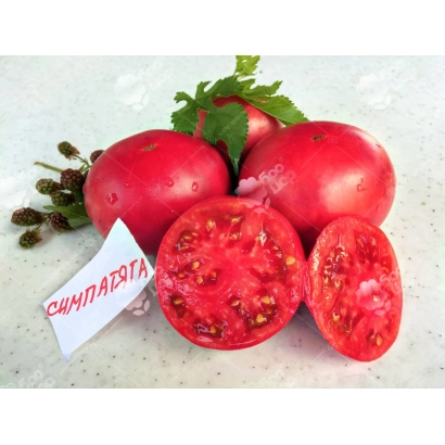 Томаты Симпатяга с нарезкой и ботвой на светлом фоне