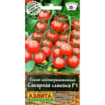 Томат Сахарная семейка F1 на ветке - СЛАДКАЯ СЕМЕЙКА