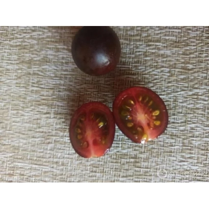 Sliced dark red tomato on light fabric - SHOKOSTAR