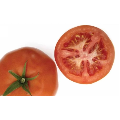 Свежий красный помидор и его поперечный срез на белом фоне - СОЛАБОЛЛ