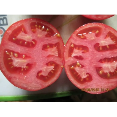 Сріз помідора сорту 'Сузір'я Риб'